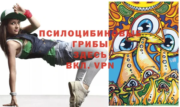 меф Переславль-Залесский
