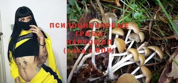 меф Переславль-Залесский